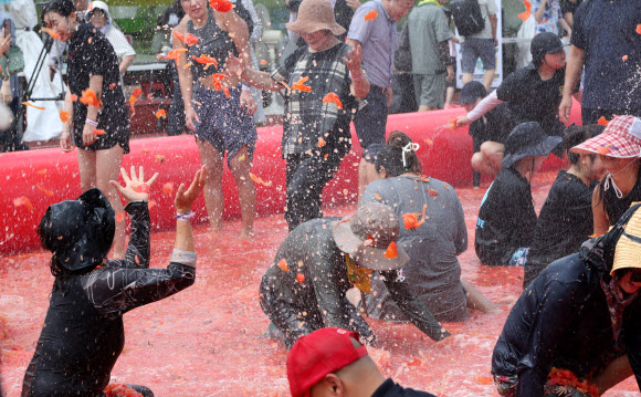 제13회 강원 횡성 둔내고랭지토마토축제 개막 첫날인 8일 참가자들이 둔내종합체육공원에 마련된 대형 토마토 풀장에서 토마토 속에 숨겨진 금반지 등 경품을 찾으려고 토마토를 던지고 으깨며 축제를 만끽하고 있다. ‘대한민국 최고의 토마토와 함께하는 가족축제’를 주제로 한 올해 축제는 오는 11일까지 이어진다. 2024.8.9  연합뉴스