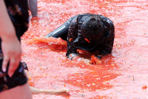 제13회 강원 횡성 둔내고랭지토마토축제 개막 첫날인 8일 참가자들이 둔내종합체육공원에 마련된 대형 토마토 풀장에서 토마토 속에 숨겨진 금반지 등 경품을 찾으려고 토마토를 던지고 으깨며 축제를 만끽하고 있다. ‘대한민국 최고의 토마토와 함께하는 가족축제’를 주제로 한 올해 축제는 오는 11일까지 이어진다. 2024.8.9  연합뉴스