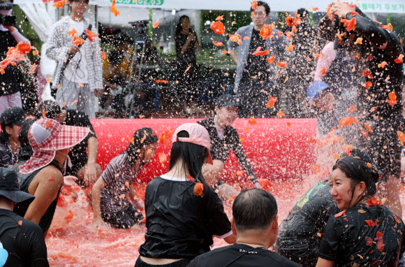 제13회 강원 횡성 둔내고랭지토마토축제 개막 첫날인 8일 참가자들이 둔내종합체육공원에 마련된 대형 토마토 풀장에서 토마토 속에 숨겨진 금반지 등 경품을 찾으려고 토마토를 던지고 으깨며 축제를 만끽하고 있다. ‘대한민국 최고의 토마토와 함께하는 가족축제’를 주제로 한 올해 축제는 오는 11일까지 이어진다. 2024.8.9  연합뉴스