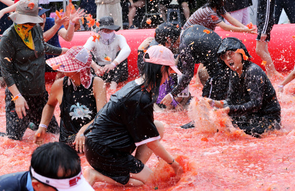 제13회 강원 횡성 둔내고랭지토마토축제 개막 첫날인 8일 참가자들이 둔내종합체육공원에 마련된 대형 토마토 풀장에서 토마토 속에 숨겨진 금반지 등 경품을 찾으려고 토마토를 던지고 으깨며 축제를 만끽하고 있다. ‘대한민국 최고의 토마토와 함께하는 가족축제’를 주제로 한 올해 축제는 오는 11일까지 이어진다. 2024.8.9  연합뉴스