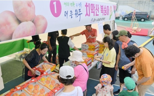 강원 원주 치악산 복숭아 축제가 17~18일 댄싱공연장 주차장에서 열린다. 사진은 지난해 축제 모습. 연합뉴스