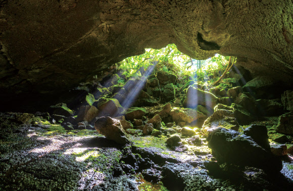 유네스코 세계자연유산인 ‘거문오름용암동굴계’ 화보 ‘어둠에서 빛으로… 14㎞의 여정’이 최근 발간됐다. 사진은 거문오름용암동굴계의 벵뒤굴 내부 모습. 거문오름용암동굴계는 거문오름에서 분출한 용암이 월정리 바닷가까지 약 14㎞를 이동하면서 형성한 용암동굴군을 말한다. 2024.8.19  제주도 제공