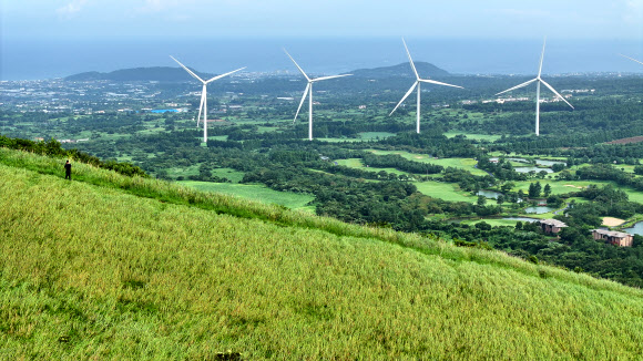 태풍이 지나간 뒤 새별오름