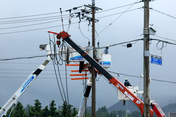 태풍 종다리의 흔적