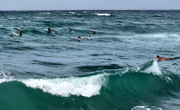 22일 오전 제주 서귀포시 중문색달해변에서 서퍼들이 파도를 즐기고 있다. 2024.8.22 연합뉴스