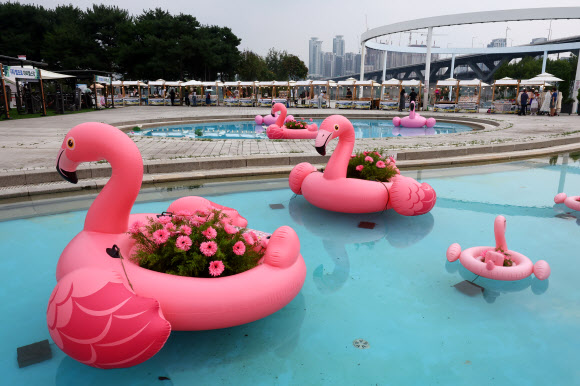 수상정원으로 변신한 뚝섬한강공원 수영장