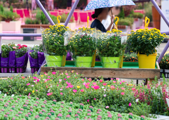 정원산업박람회 둘러보는 시민들