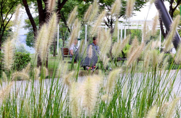 성큼 다가온 가을