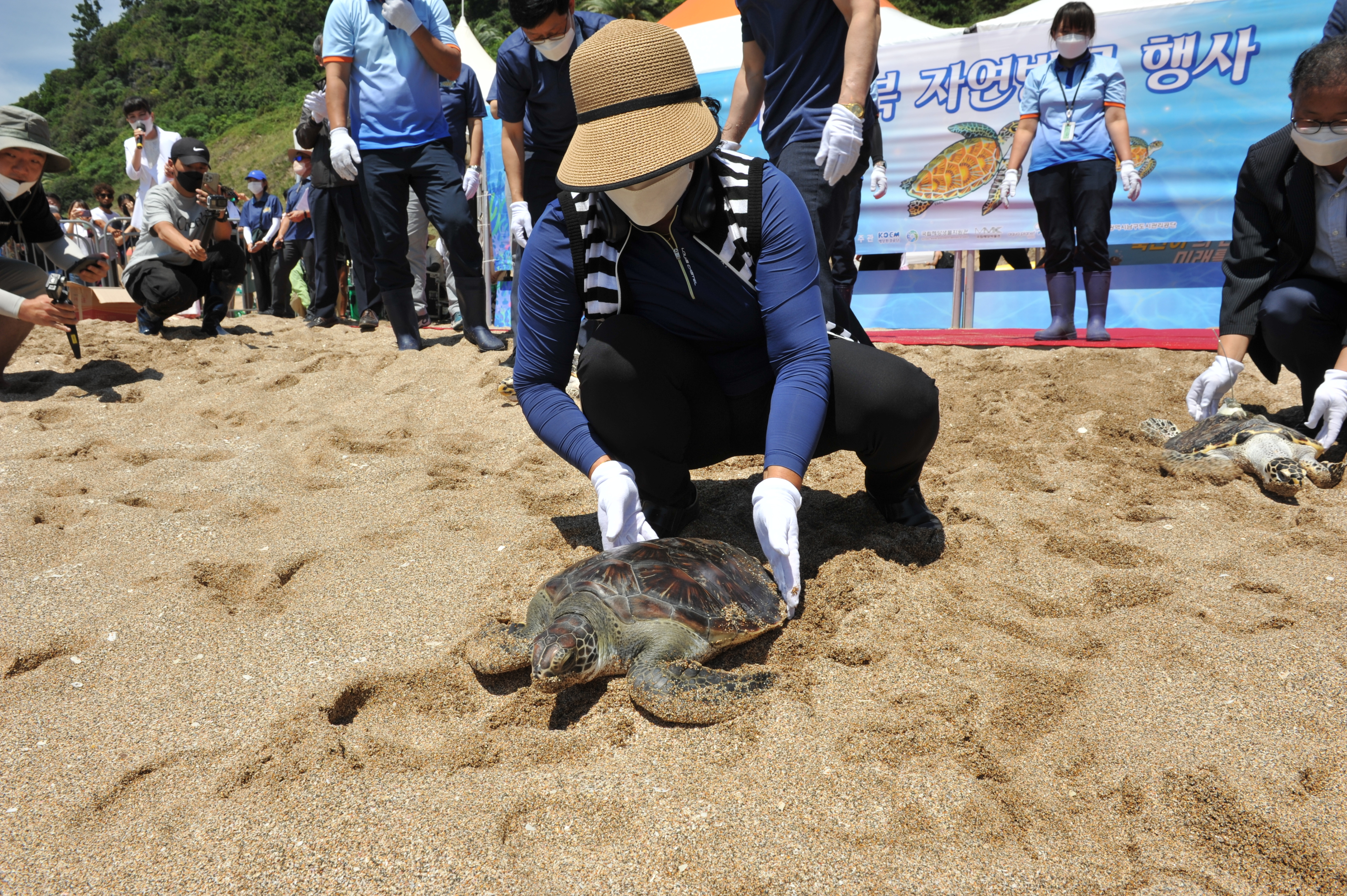 2022년 제주에서 열린 바다거북 자연방류 행사 모습. 해양수산부 제공