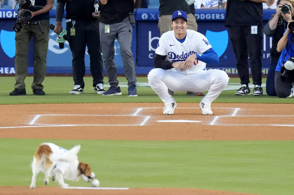 Los Angeles Dodgers‘ Shohei Ohtani waits for his dog Decoy as Decoy delivers the ceremonial first pitch prior to a baseball game between the Dodgers and the Baltimore Orioles Thursday, Aug. 29, 2024, in Los Angeles. AP