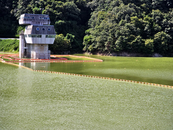 폭염이 이어진 30일 강원 횡성군 횡성댐 취수탑 주변의 횡성호에 남조류가 발생해 녹색 물감을 풀어 놓은 듯하다. 원주지방환경청은 전날 오후 3시를 기해 이 일대에 조류경보 관심 단계를 발령했다. 횡성호의 조류경보 관심 발령은 2013년, 2022년에 이어 이번이 세 번째다. 2024.8.30  연합뉴스