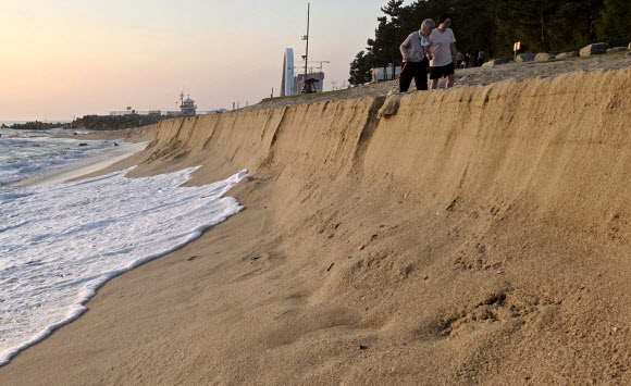2일 강원 강릉시 경포해변 백사장이 최근 계속된 높은 파도로 크게 깎여 나가 절벽을 이루고 있다. 2024.9.2. 연합뉴스