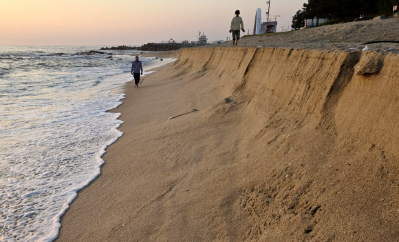 2일 강원 강릉시 경포해변 백사장이 최근 계속된 높은 파도로 크게 깎여 나가 절벽을 이루고 있다. 2024.9.2. 연합뉴스