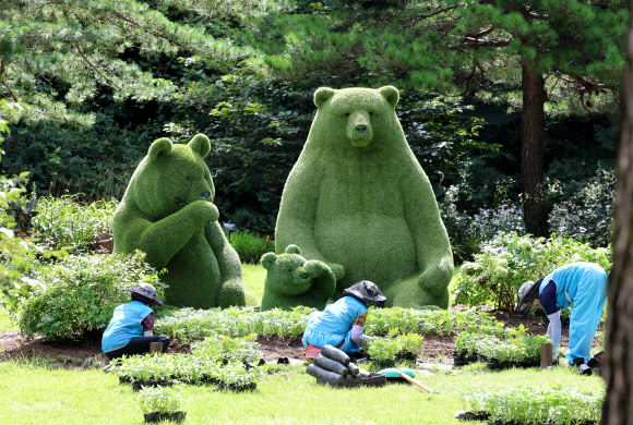 3일 강원 강릉솔향수목원에서 작업 인부들이 가을꽃을 식재하고 있다. 2024.9.3  연합뉴스