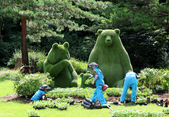 3일 강원 강릉솔향수목원에서 작업 인부들이 가을꽃을 식재하고 있다. 2024.9.3  연합뉴스