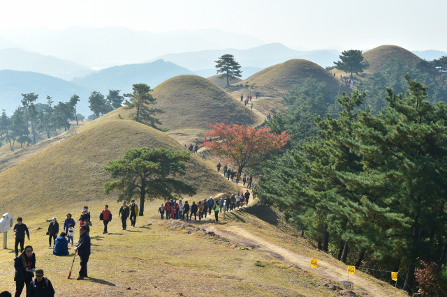 세계유산인 경북 고령군 지산동 고분군 전경. 고령군은  오는 23일부터 다음달 6일까지 지산동 고분군 일원에서  ‘2024 세계유산축전’ 을 마련한다. 고령군 제공