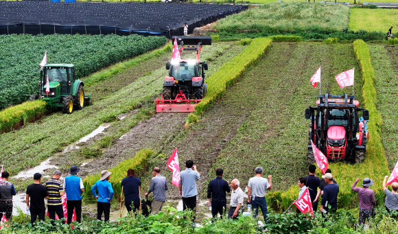 추석 연휴를 이틀 앞둔 12일 경기도 안성시 미양면의 한 논에서 전국농민총연맹 경기도연맹 관계자와 농민들이 쌀값 보장 등을 요구하며 논을 갈아엎고 있다. 2024.9.12. 연합뉴스