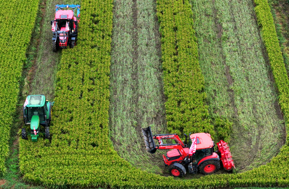 추석 연휴를 이틀 앞둔 12일 경기도 안성시 미양면의 한 논에서 전국농민총연맹 경기도연맹 관계자와 농민들이 쌀값 보장 등을 요구하며 논을 갈아엎고 있다. 2024.9.12. 연합뉴스