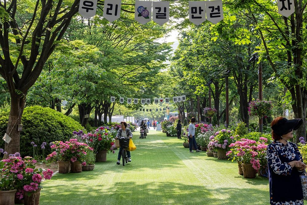 지난 5월 서울 영등포구에서 열린 정원축제 현장. 영등포구 제공