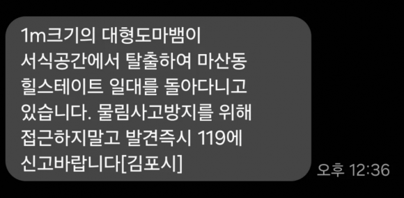 인터넷 커뮤니티 게시글 캡처