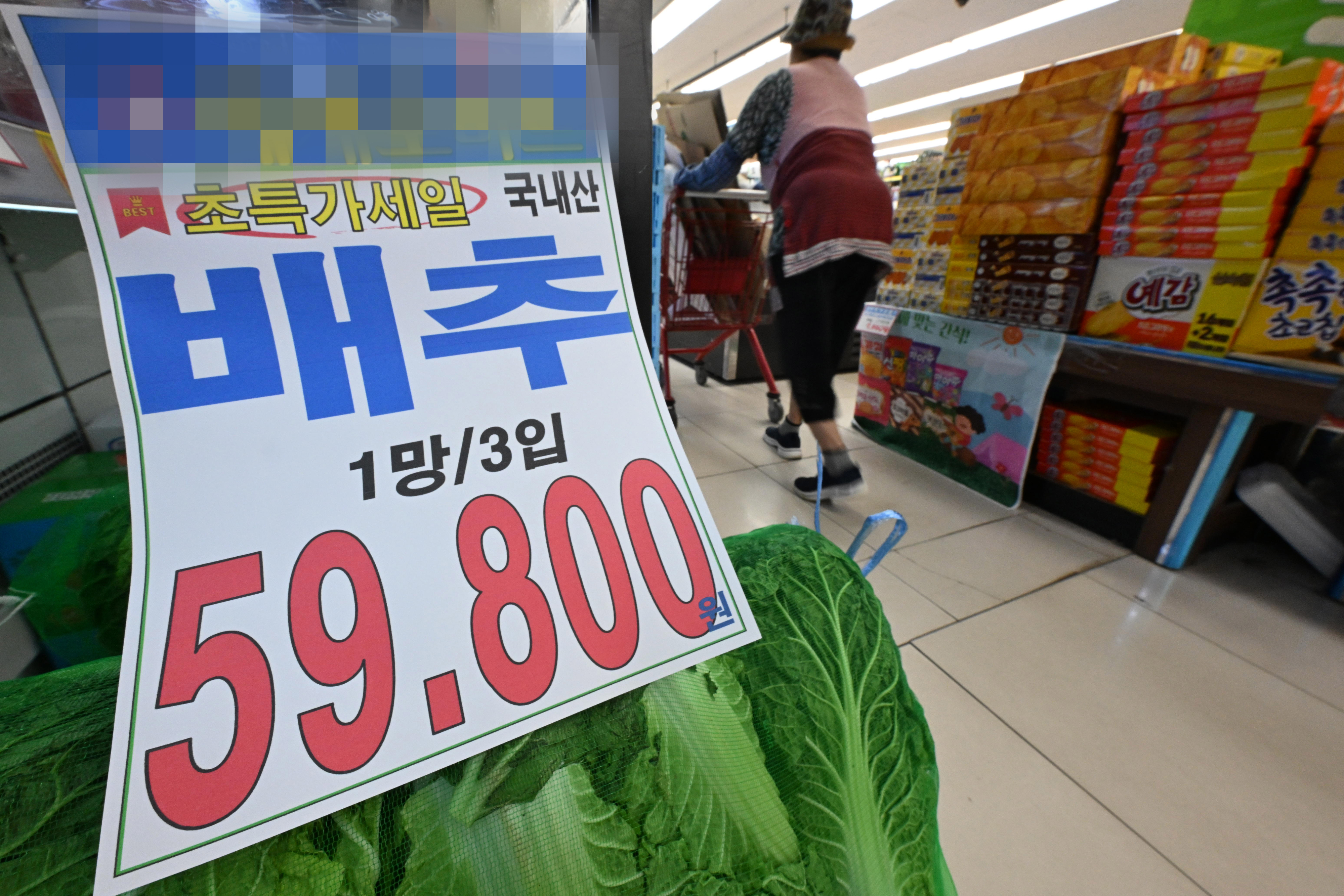 세 포기 6만원 육박 ‘金배추’