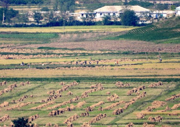 23일 오후 인천 강화군 강화평화전망대에서 바라본 북한 황해도 개풍군 들녘에 추수가 끝난 논에 짚단들이 쌓여 있다. 2024.9.23. 연합뉴스
