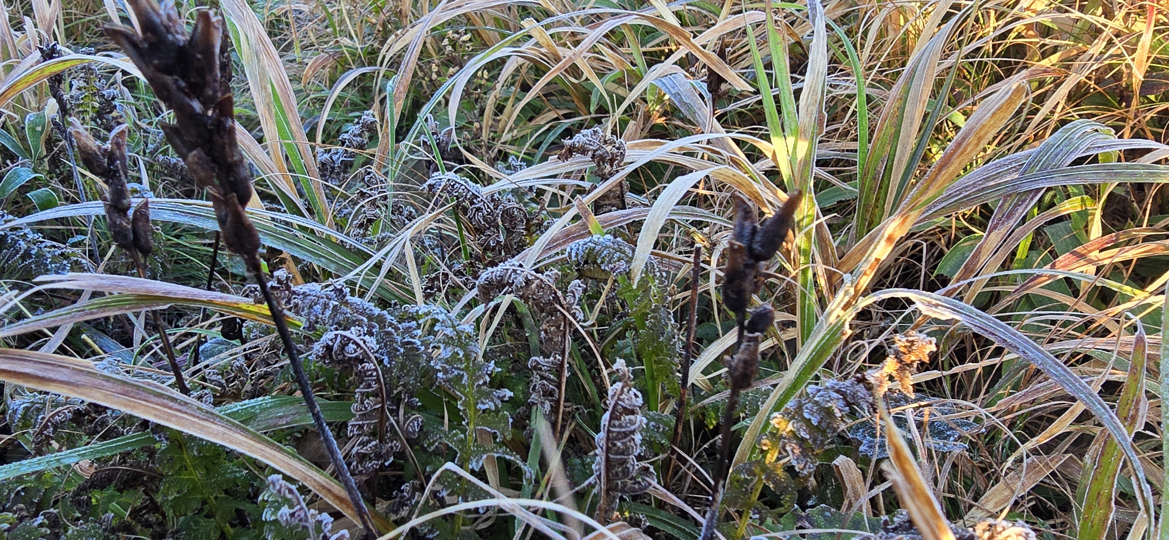 24일 오전 7시쯤 강원 양양군 설악산 중청대피소 일대 올해 첫 서리가 내려앉아 있다. 2024.9.24. 설악산국립공원사무소 제공