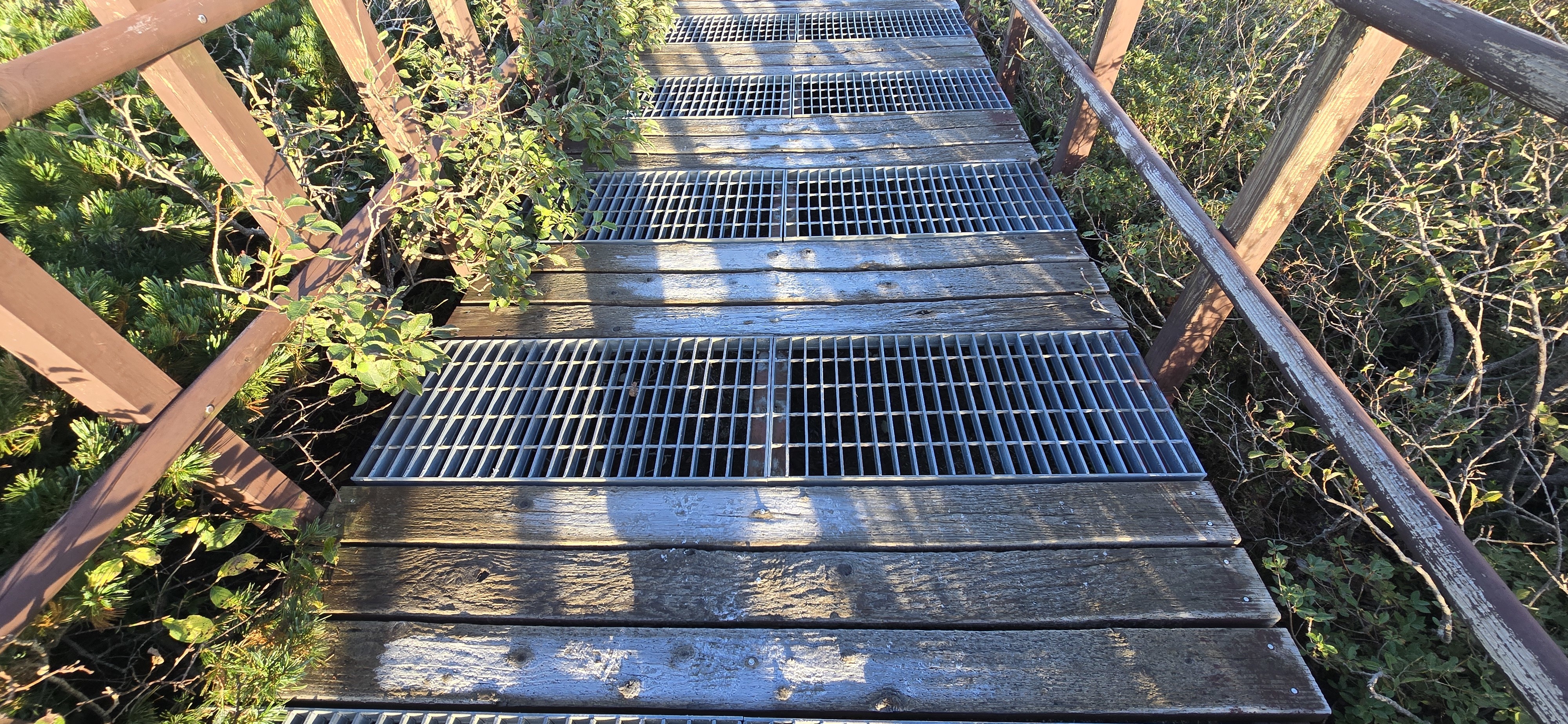 24일 오전 강원 양양군 설악산 중청대피소 일대 올해 첫 서리가 내려앉아 있다. 2024.9.24. 설악산국립공원사무소 제공