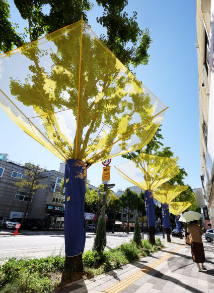 24일 경기도 수원시 팔달구 효원로에 은행나무 낙과수집기가 설치돼 있다. 2024.9.24  연합뉴스