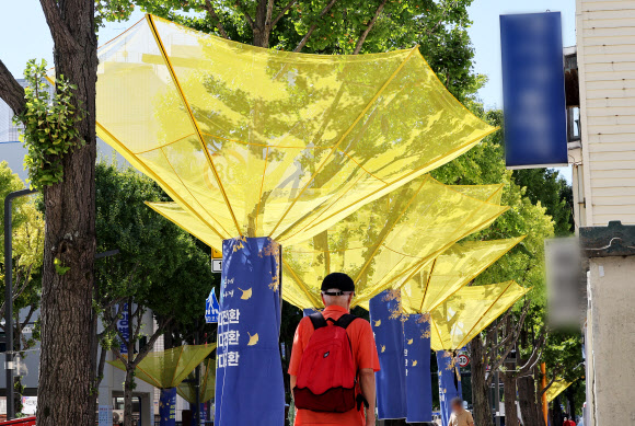 24일 경기도 수원시 팔달구 효원로에 은행나무 낙과수집기가 설치돼 있다. 2024.9.24  연합뉴스