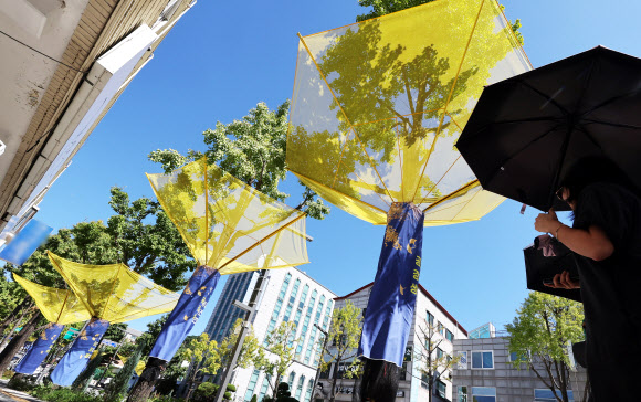 24일 경기도 수원시 팔달구 효원로에 은행나무 낙과수집기가 설치돼 있다. 2024.9.24  연합뉴스