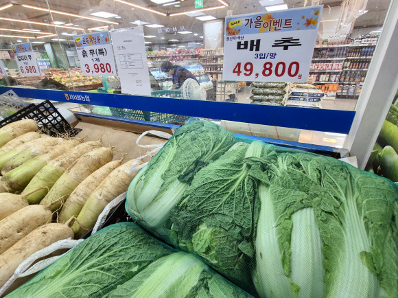 기록적인 폭염으로 인해 채소 가격이 크게 오른 24일 오전 서울 한 마트에 배추 한 망에 4만9천8백원이라는 가격표가 놓여 있다.  시금치 가격은 지난달에 비해 124.4%, 배추는 73.0% 오른 것으로 조사됐다. 2024.9.24  연합뉴스
