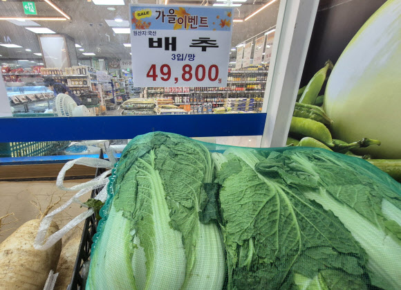 기록적인 폭염으로 인해 채소 가격이 크게 오른 24일 오전 서울 한 마트에 배추 한 망에 4만9천8백원이라는 가격표가 놓여 있다.  시금치 가격은 지난달에 비해 124.4%, 배추는 73.0% 오른 것으로 조사됐다. 2024.9.24  연합뉴스