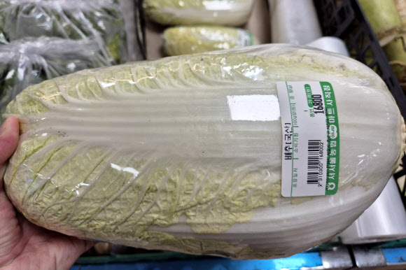 기록적인 폭염으로 인해 채소 가격이 크게 오른 24일 오전 서울 한 마트에 배추에 1만6천8백원이라고 적힌 가격표가 붙여져 있다.   시금치 가격은 지난달에 비해 124.4%, 배추는 73.0% 오른 것으로 조사됐다. 2024.9.24  연합뉴스