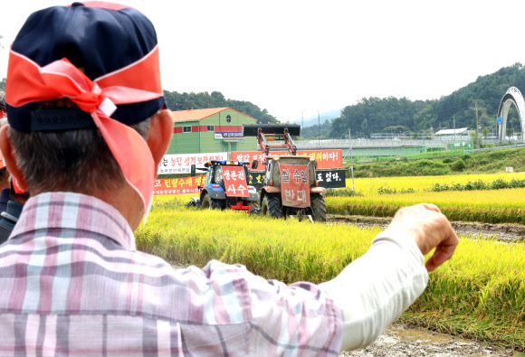 25일 충북 충주시 주덕읍 화곡리에서 농민들이 정부에 쌀 가격 보장을 촉구하며 논을 갈아엎는 시위를 벌이고 있다. 2024.9.25  연합뉴스