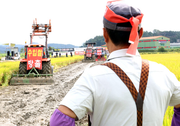 25일 충북 충주시 주덕읍 화곡리에서 농민들이 정부에 쌀 가격 보장을 촉구하며 논을 갈아엎는 시위를 벌이고 있다. 2024.9.25 연합뉴스