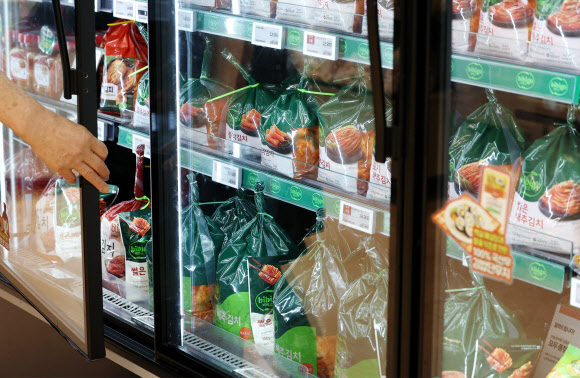 폭염으로 배추 가격이 껑충 뛰자 직접 김치를 담그는 대신 포장김치를 찾은 소비자가 늘어난 것으로 나타났다. 26일 식품업계에 따르면 대상 종가 김치와 CJ제일제당 비비고 김치의 지난달 배추김치 매출은 작년 동기 대비 10% 넘게 증가했다. 이날 서울시내 한 대형마트 포장김치 코너. 2024.9.26. 연합뉴스