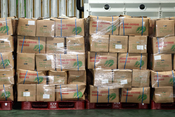 30일 오전 경기도 이천시 대월면 aT 한국농수산식품유통공사 이천비축기지에 정부가 수급 안정을 위해 중국에서 수입한 배추가 쌓여 있다. 2024.9.30  공동취재