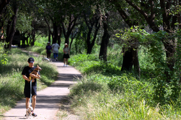 청계천 산책로에 반려견 출입이 시범적으로 허용된 30일 오후 서울 동대문구 황학교 인근 청계천 산책로에서 시민들이 반려견과 산책을 하고 있다. 서울시는 황학교 하류(동대문구)에서 중랑천(성동구) 합류부에 이르는 약 4.1㎞ 구간을 대상으로 이날부터 연말까지 반려견 출입을 시범적으로 허용한다고 밝혔다. 2024.9.30 연합뉴스
