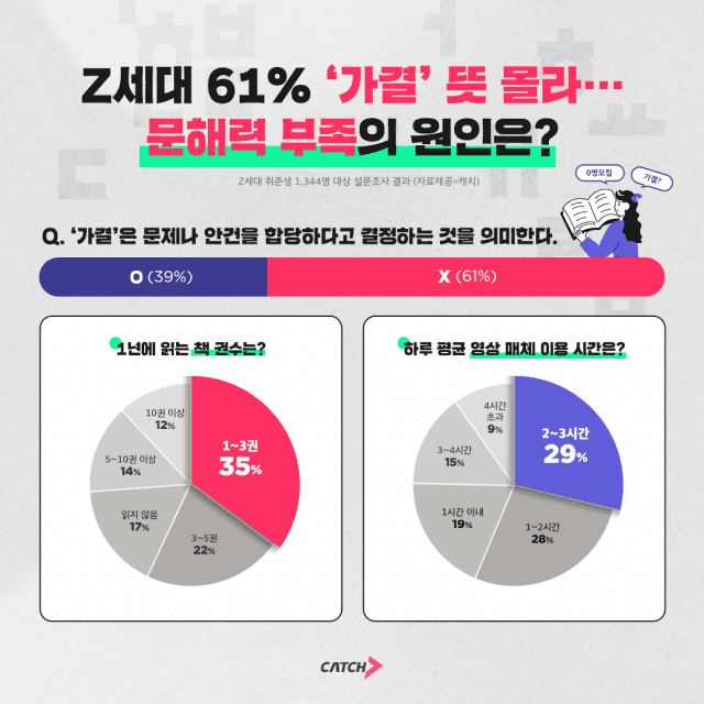 Z세대 문해력 부족. 캐치 제공