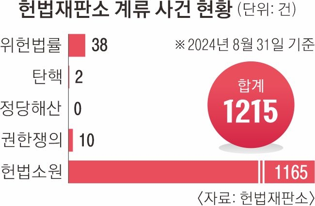 헌법재판소 계류 사건 현황