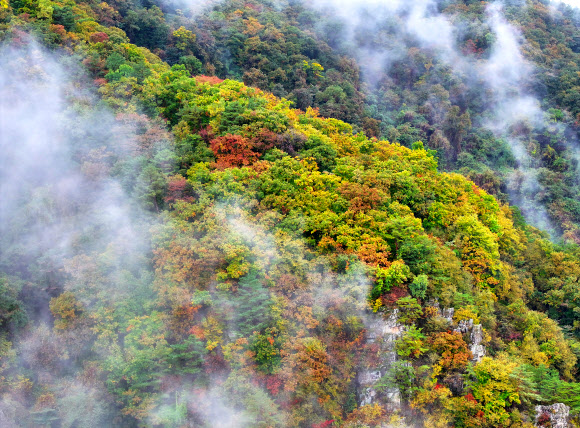 15일 강원 정선군 남면 무릉리에서 바라본 민둥산자락에 단풍과 구름이 어우러져 있다. 2024.10.15  연합뉴스