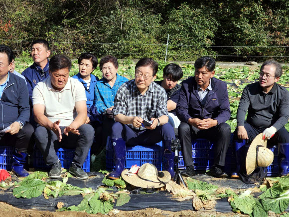 17일 오후 더불어민주당 이재명 대표가 강원 평창군 방림면 배추밭을 찾아 농민들의 애로사항을 듣고 있다. 2024.10.17. 연합뉴스