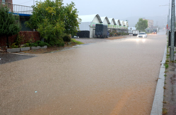 가을비로 침수된 도로