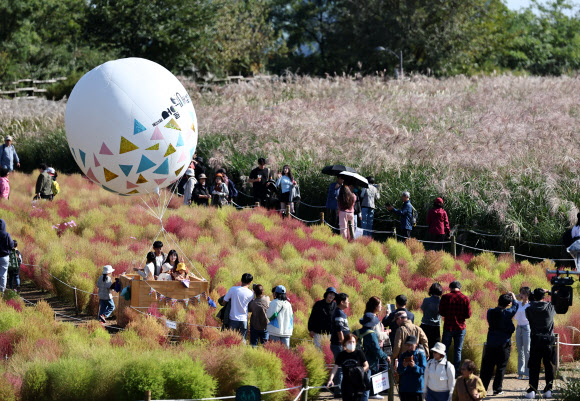 20일 서울억새축제가 열리는 서울 하늘공원의 모습. 이 축제는 25일까지 진행될 예정이다. 2024.10.20  연합뉴스