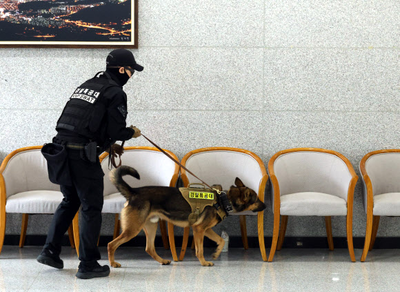 경찰의 날인 21일 대전 유성구 대전경찰특공대 건물 안에서 경찰견 아더(4·셰퍼드)가 핸들러 이상규 경사와 함께 폭발물 탐지 훈련을 하고 있다. 2024.10.21. 연합뉴스