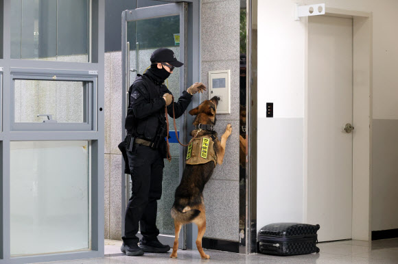 경찰의 날인 21일 대전 유성구 대전경찰특공대 건물 안에서 경찰견 아더(4·셰퍼드)가 핸들러 이상규 경사와 함께 폭발물 탐지 훈련을 하고 있다. 2024.10.21. 연합뉴스