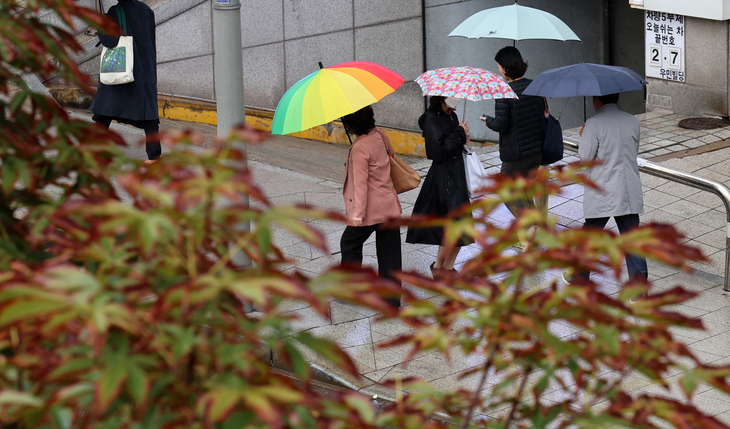 비가 내리고 있는 22일 오전 서울 서초구 서울중앙지방법원 인근에서 시민들이 우산을 쓰고 걸어가고 있다. 2024.10.22. 뉴시스