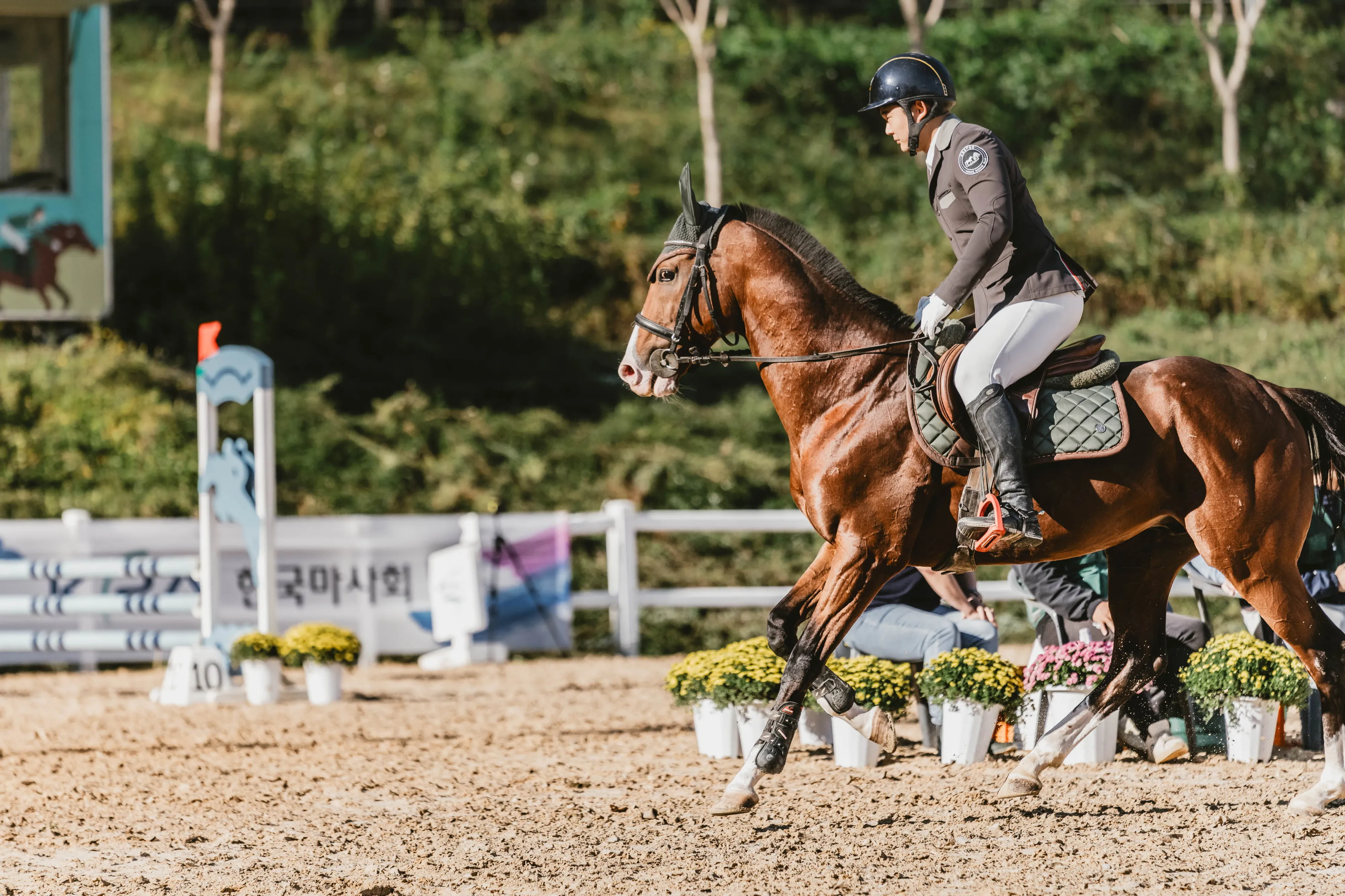 한국마사회가 말 복지 대책 사업의 하나로 올해 처음 이달 초 경기 과천경마장에서 개최한 퇴역마 승마대회 모습.
한국마사회 제공