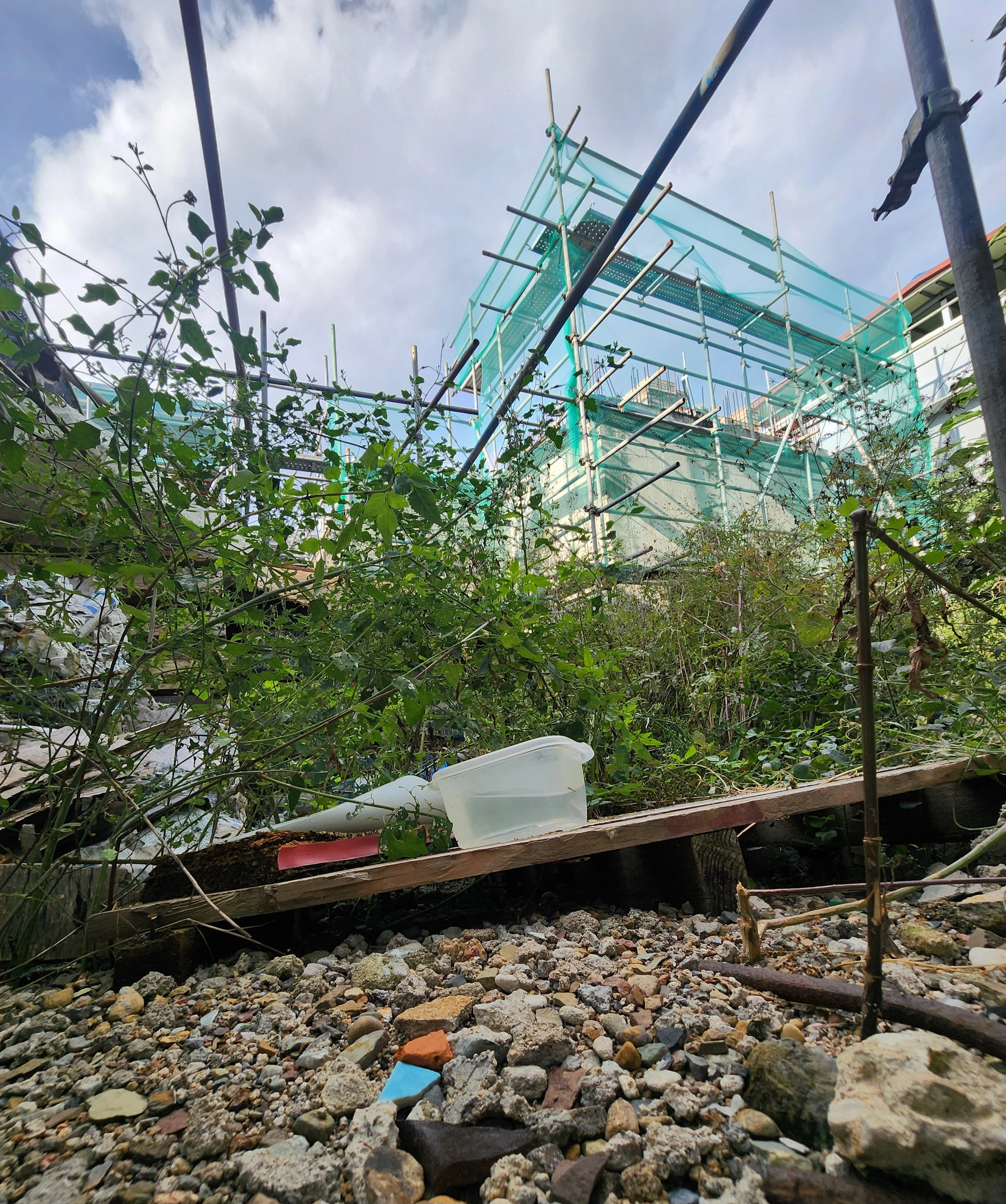 11일 오후 대구 북구 대현동 이슬람사원 공사 현장에 잡초가 무성하게 자라 있다. 2024. 10. 11. 민경석 기자